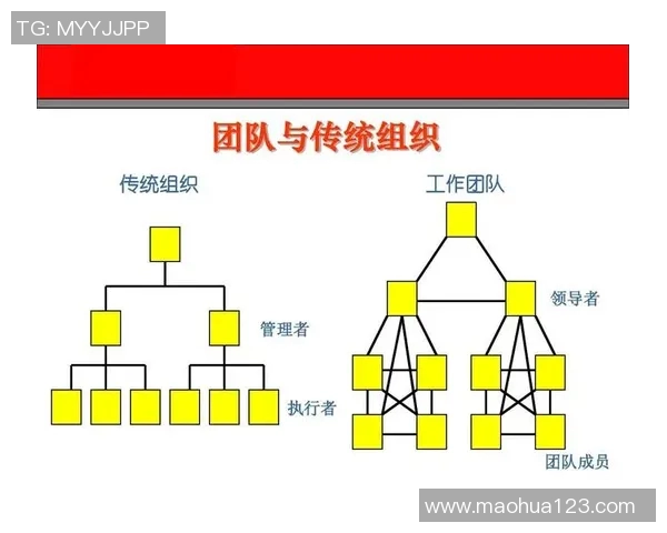 杭州排球队与成都排球队赛后复盘探讨团队协作的成功与不足