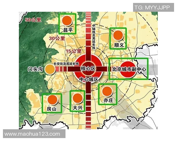 北京篮球队的速度分析与战术应用探讨如何提升球队竞争力